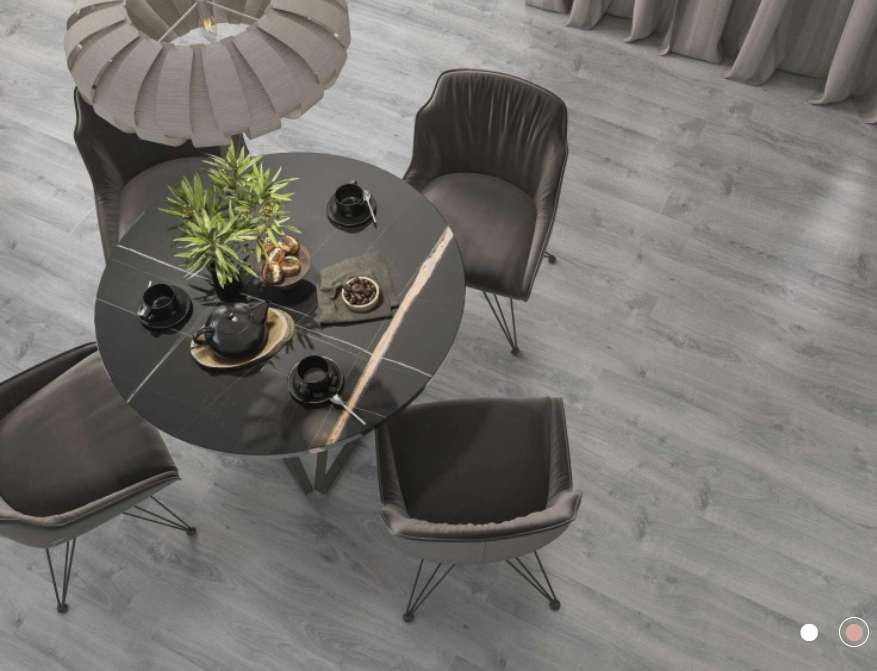 ILLINOIS GRIS MATT 23.3X120