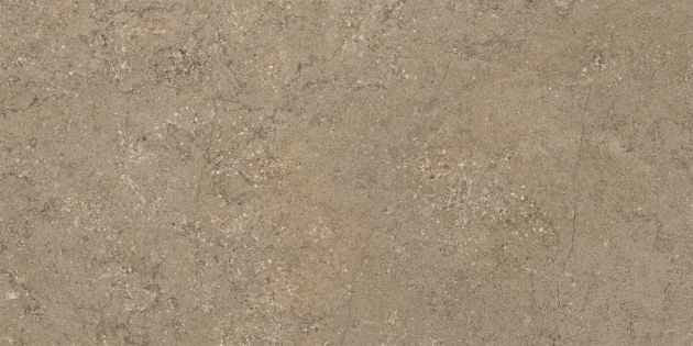 AΜΠΣΟΛΟΥΤ ΝΟΥΕΖ 31.6X63.2