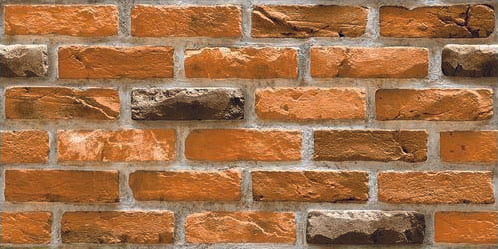 Grivola cotto Rettificato 30X60 cm