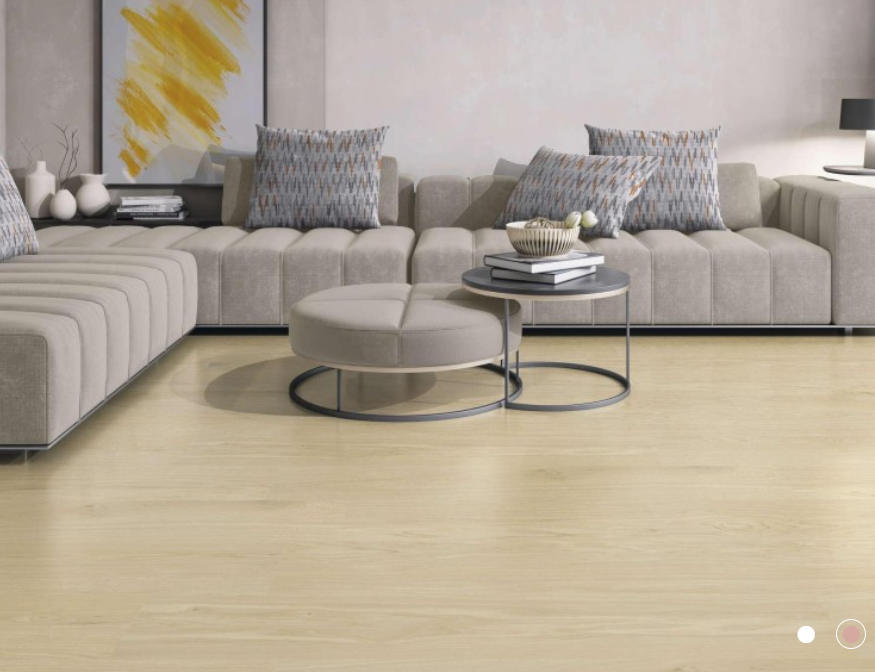 LOGIC IVORY MATT 23.3X120