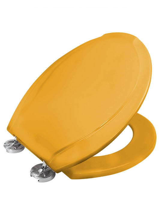 REVERA GOLD EBIOP BASIN COVER-LID