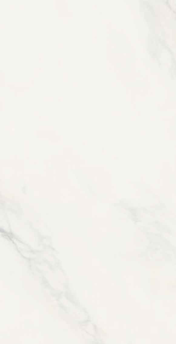 BIANCO STATUERY 60X120